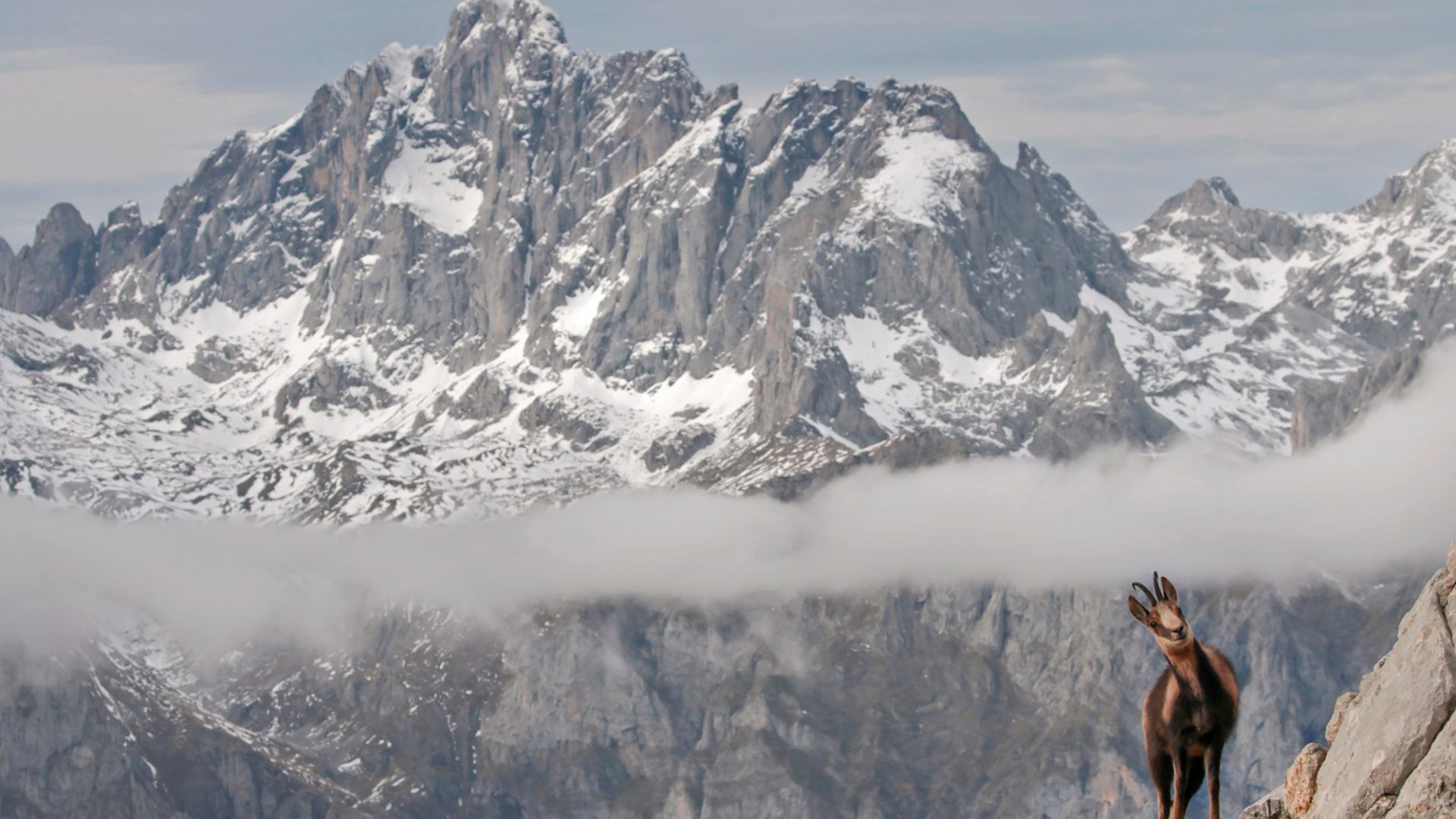 picos_de_europa